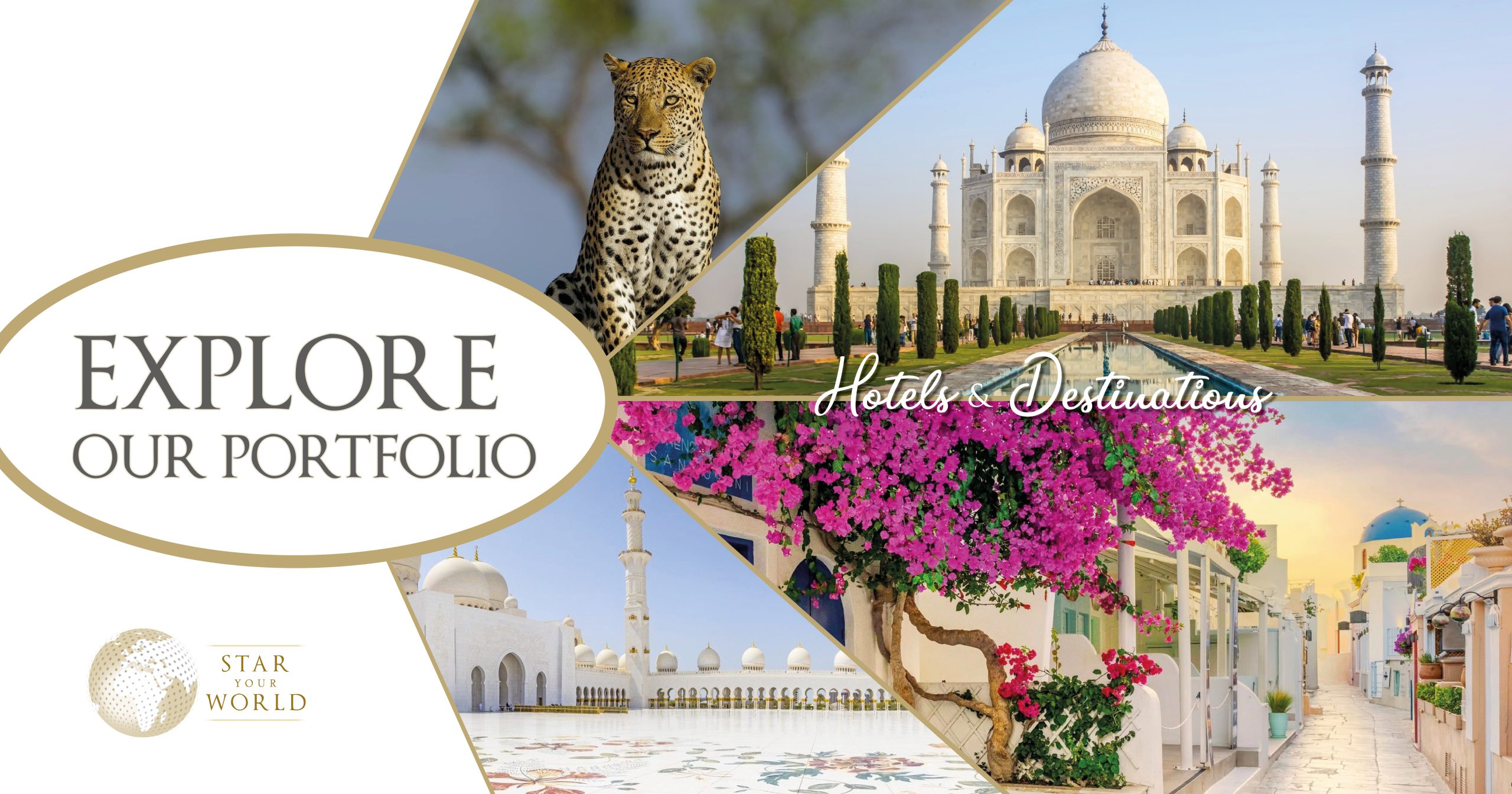 STAR Your World portfolio